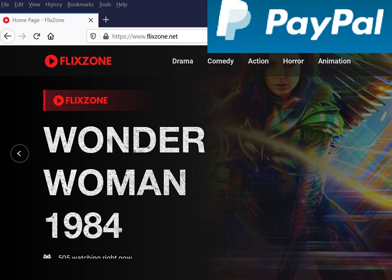 Home page of www.Flixzone.net scammer's web site.