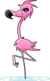 The Flamingo.