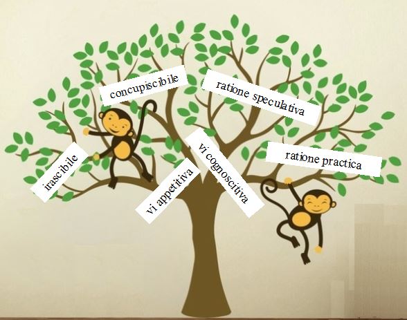 Monkeys in a Porphyrian Tree.