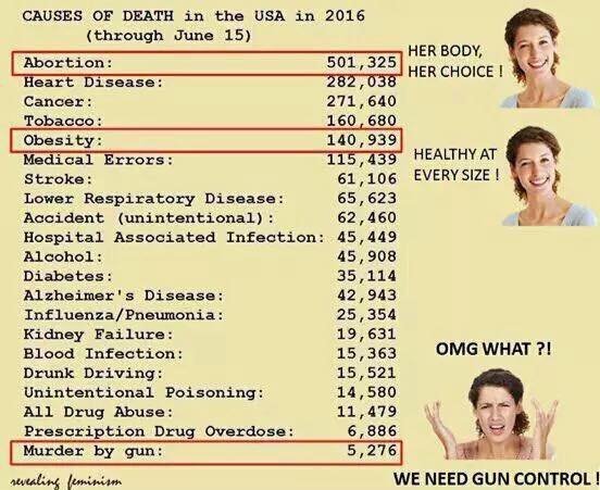 Les causes de mortalité au USA en 2016.