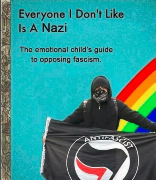 Everyone I don't like is a Nazi; The emotional child's guide to opposing fascism.