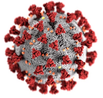 The SARS-CoV-2 virus? How would I know, I've never seen a virus.