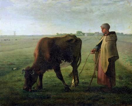 Woman pasturing her cow.