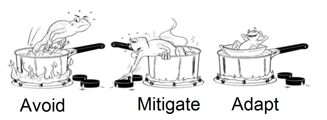 Frog in boiling water: Avoid - Mitigate - Adapt.