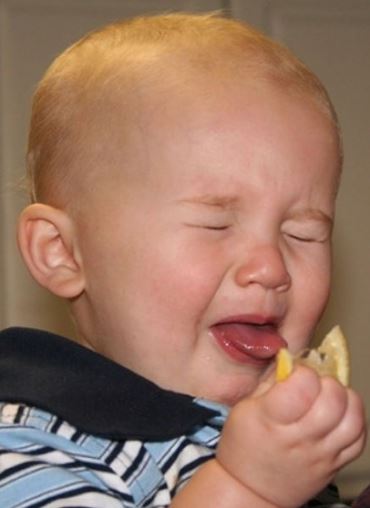 Un bébé goûte à un citron.
